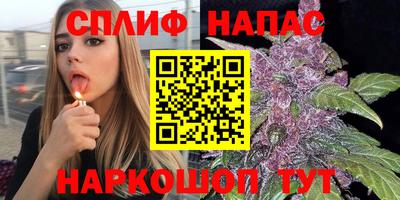 PSILOCYBIN Кунгур